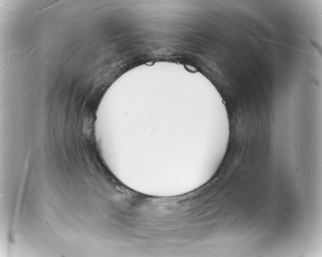 X0000101470033200808041116