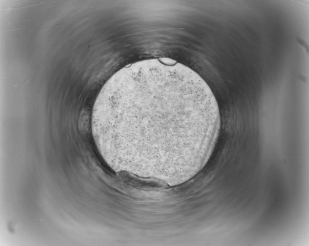 X0000101470036200808041116