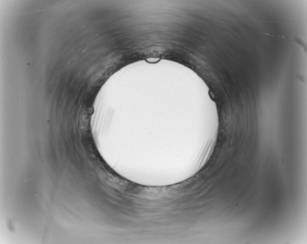 X0000101470037200808041116