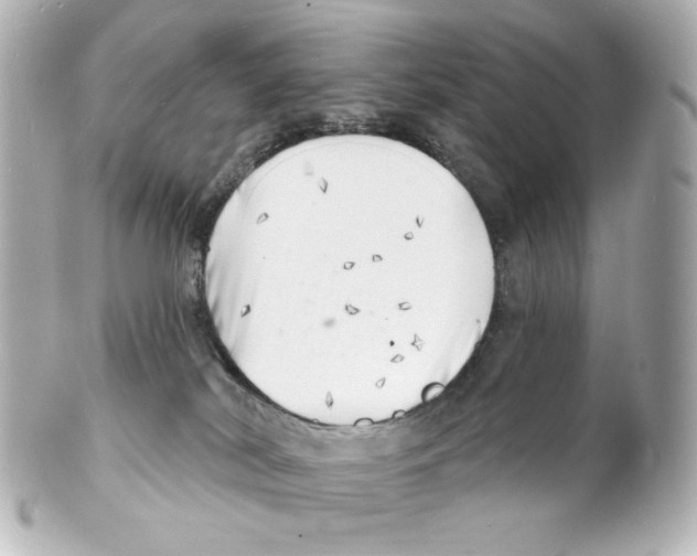 X0000101470038200808041116