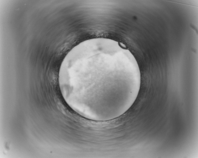 X0000101470039200808041116