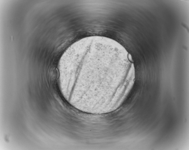 X0000101470040200808041116