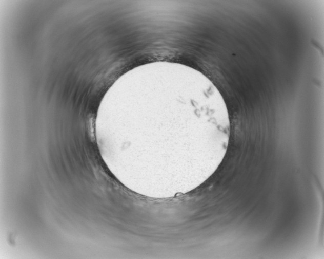 X0000101470042200808041116