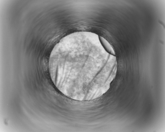 X0000101470043200808041116