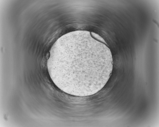 X0000101470044200808041116