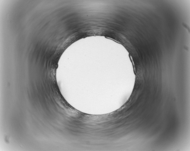 X0000101470045200808041116