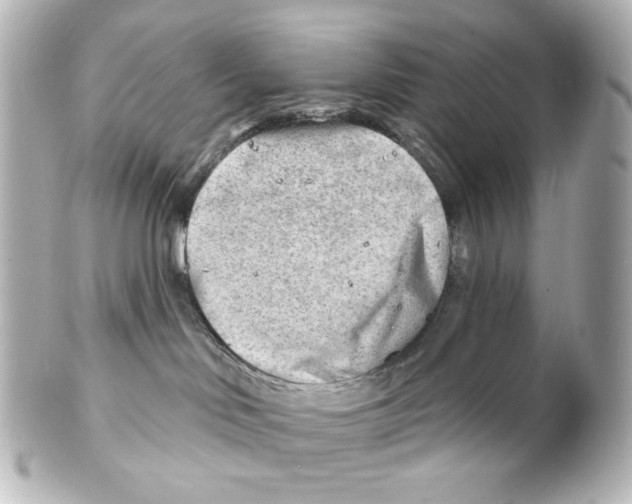 X0000101470046200808041116