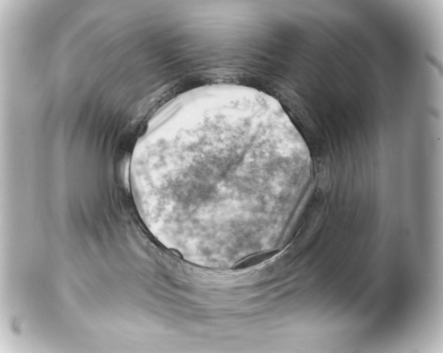 X0000101470047200808041115