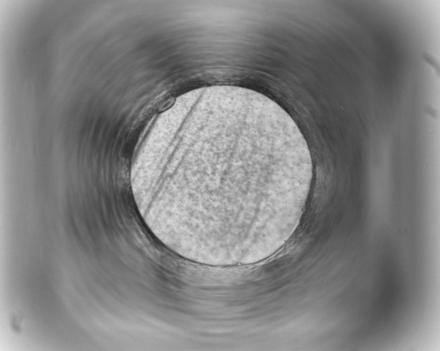 X0000101470048200808041115