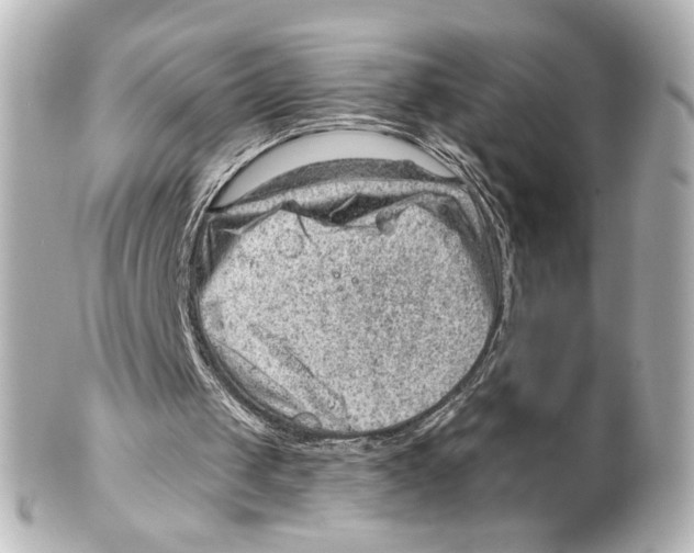 X0000101470049200808041115