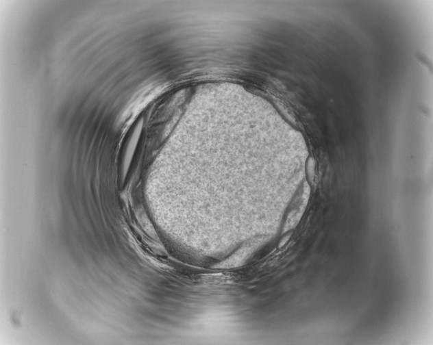 X0000101470050200808041115