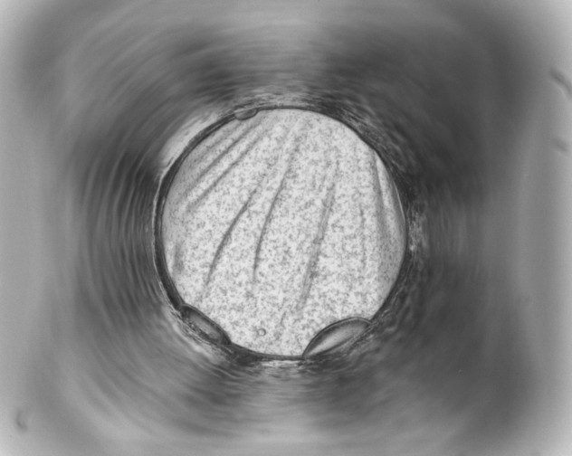 X0000101470052200808041115