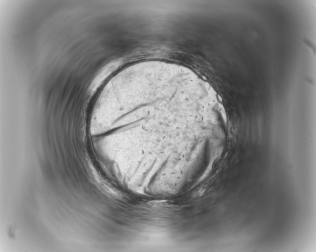 X0000101470054200808041115