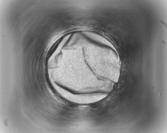 X0000101470055200808041115