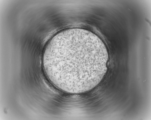 X0000101470059200808041115