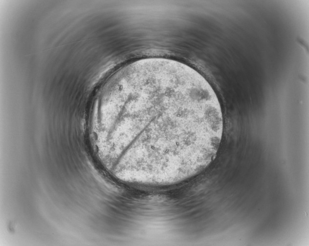 X0000101470063200808041115