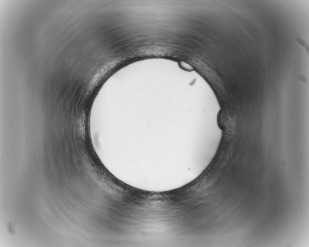 X0000101470064200808041115