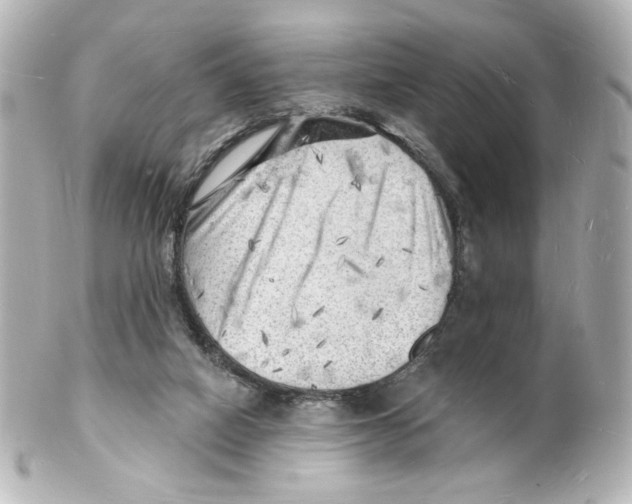 X0000101470066200808041115