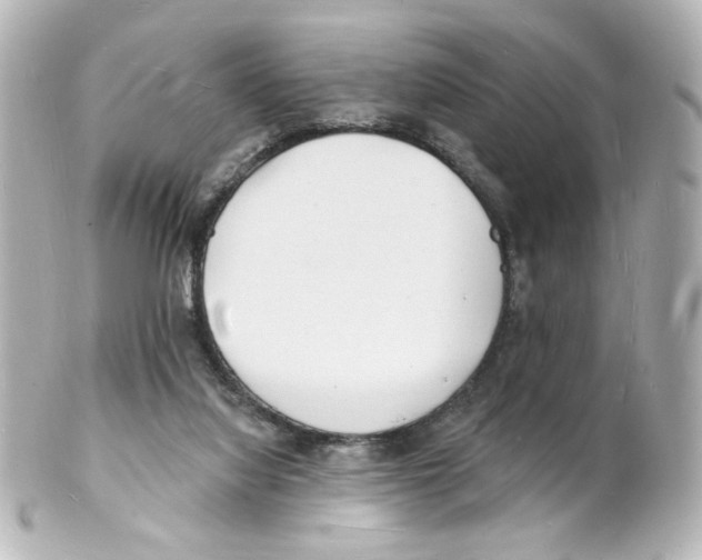 X0000101470068200808041115