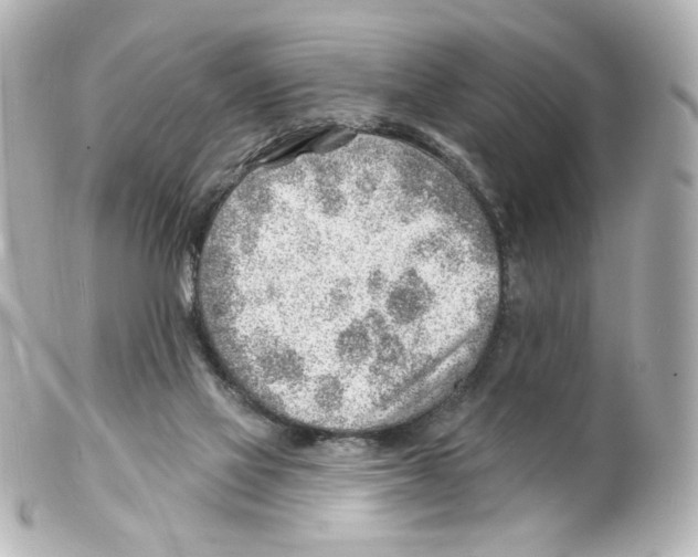 X0000101470069200808041115