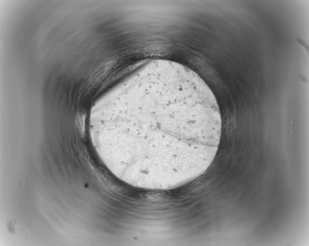 X0000101470070200808041115