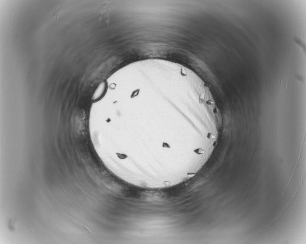 X0000101470073200808041115