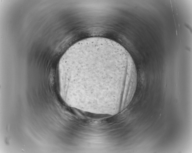 X0000101470074200808041115