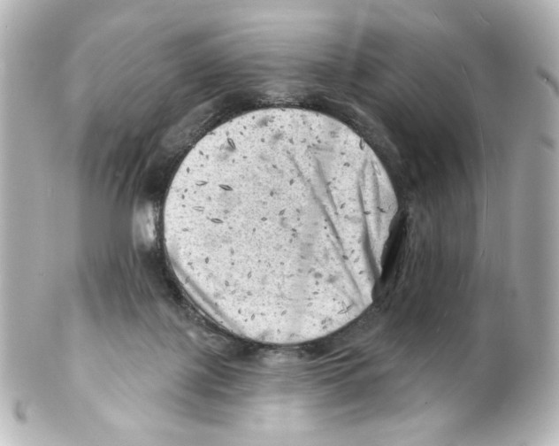 X0000101470075200808041115