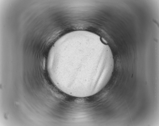 X0000101470076200808041115