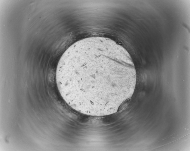 X0000101470078200808041115