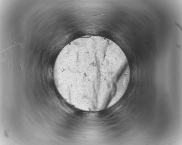 X0000101470081200808041115