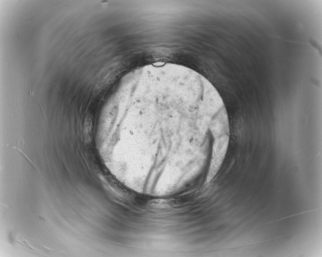 X0000101470082200808041115