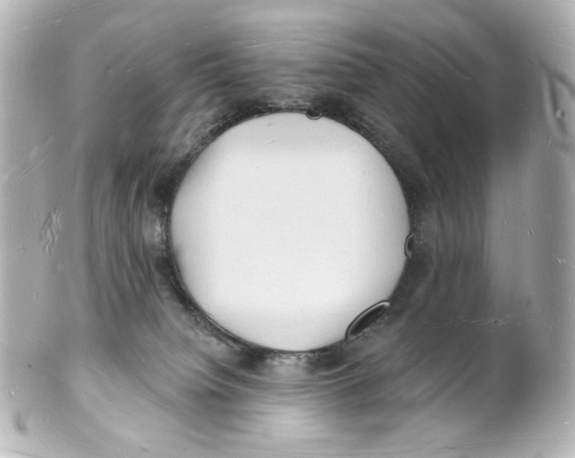 X0000101470084200808041115