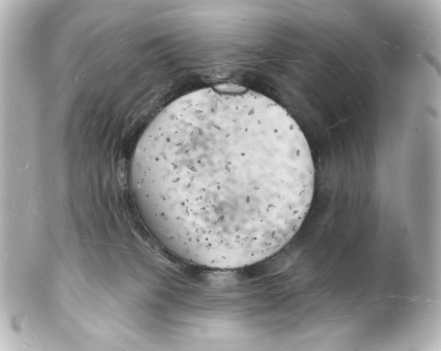 X0000101470085200808041115