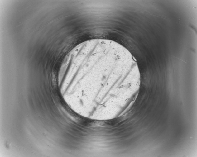 X0000101470086200808041115