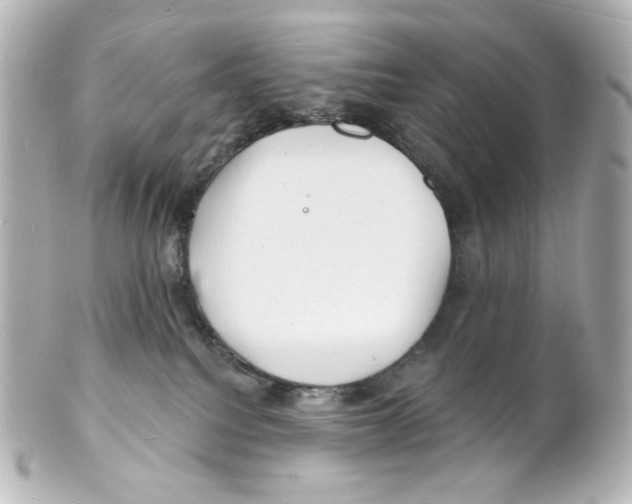 X0000101470088200808041115