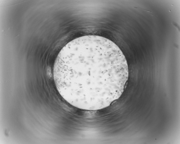 X0000101470089200808041115