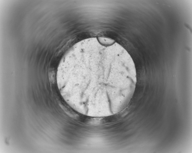 X0000101470090200808041115