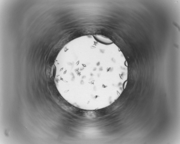 X0000101470091200808041115