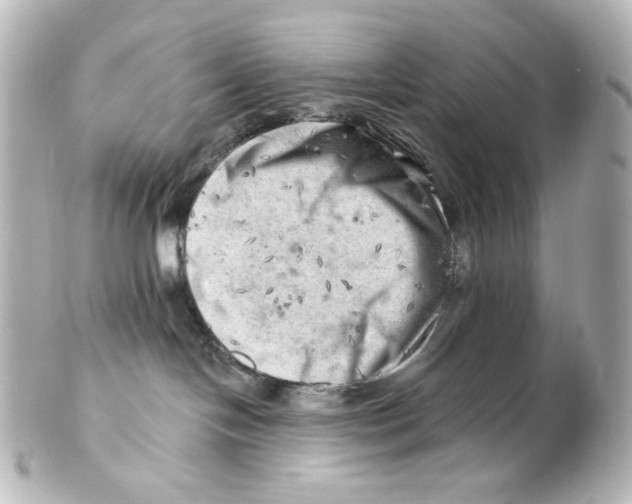 X0000101470094200808041115