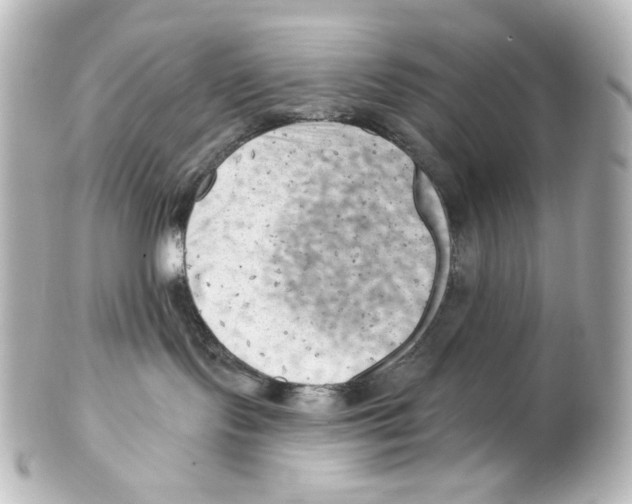 X0000101470095200808041115