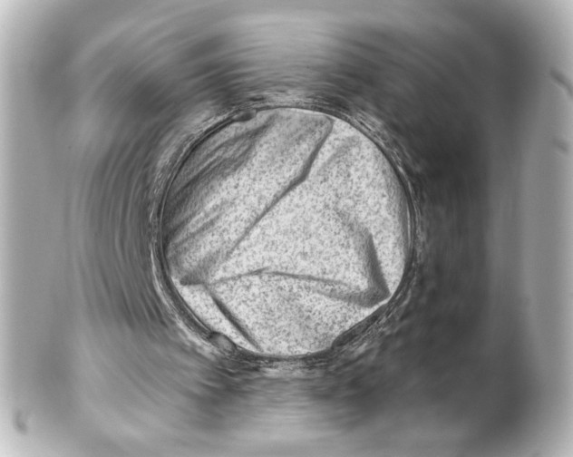 X0000101470097200808041115