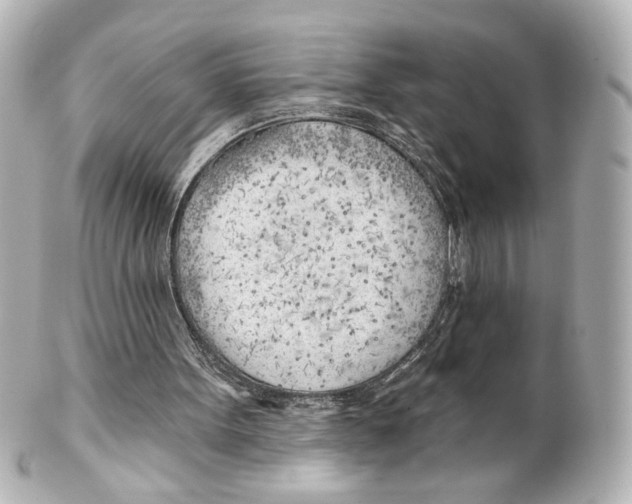 X0000101470099200808041115