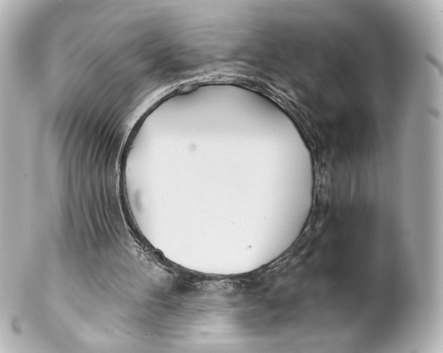 X0000101470100200808041115