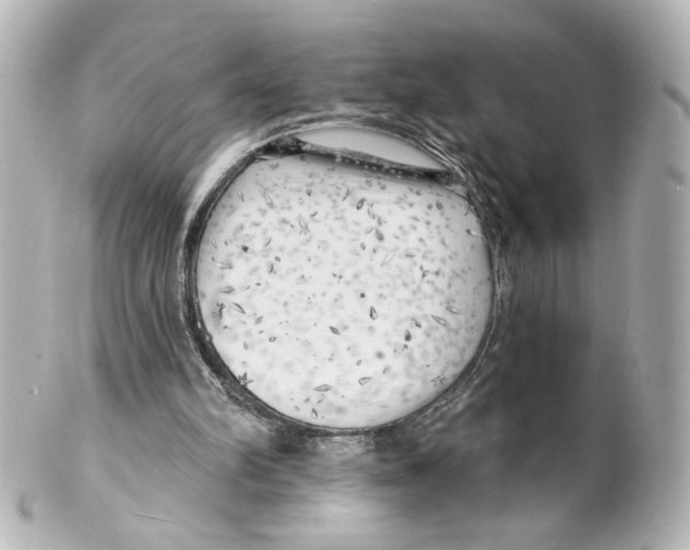 X0000101470102200808041114