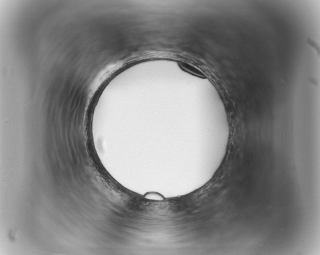 X0000101470104200808041114