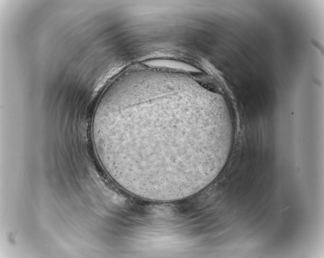 X0000101470106200808041114