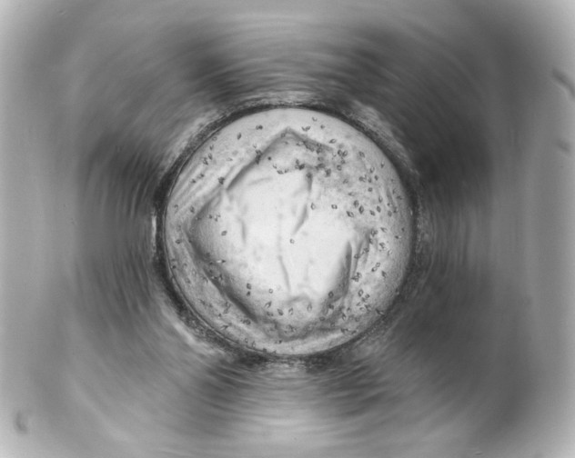 X0000101470110200808041114