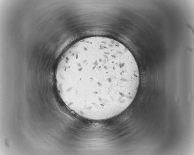 X0000101470111200808041114