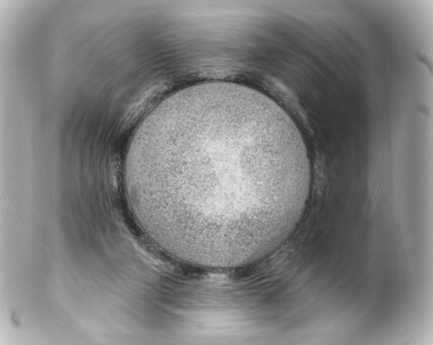 X0000101470114200808041114